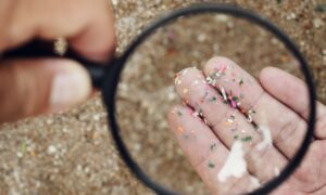 Magnifying glass reveals a handful of microplastics.