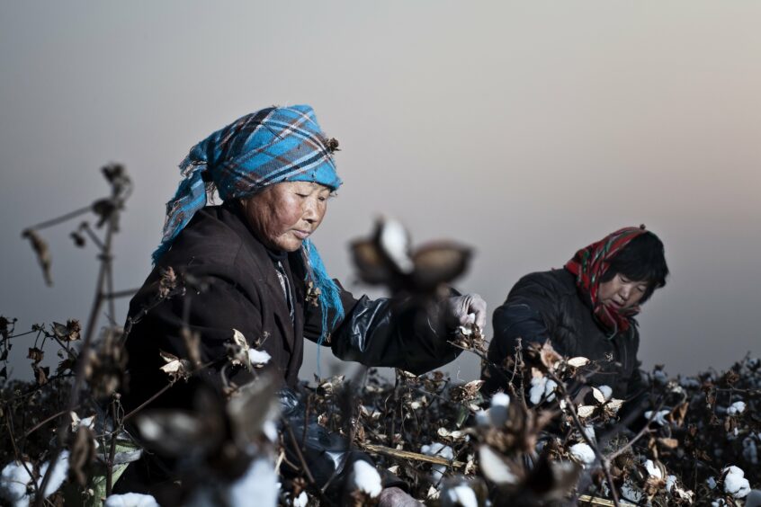 Cotton farmers working the field. Image sourced from Solidaridad Europe.