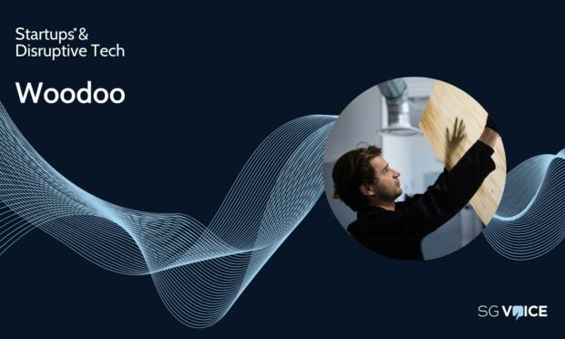 Startup profile: Woodoo