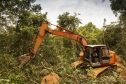 Digger ploughs through the Malaysian rainforest.