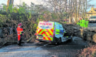 Crews remove a huge, fallen tree yesterday after it crushed a police van in Aberdeenshire  during the storm