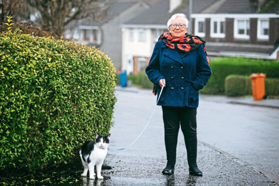 Maggie Clayton takes her cat Nico out for walks on a lead.