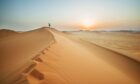 Oman's Empty Quarter desert.