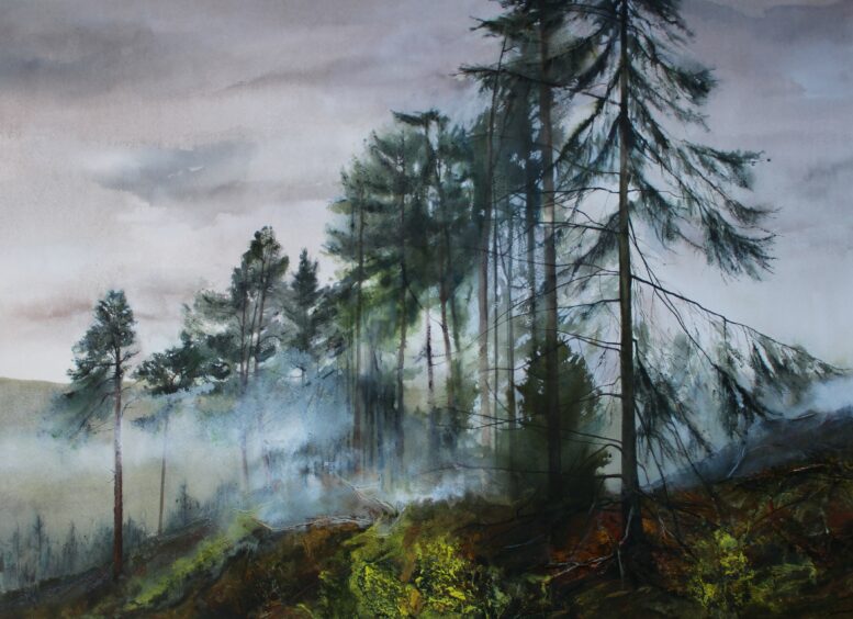 ‘Clearing Mist’ by Jackie Stevenson. Jackie says: “I live on the edge of the Loch Lomond and Trossachs National Park. Over the past couple of years, much of the forest has been cleared, leaving behind small groups of trees like these.”