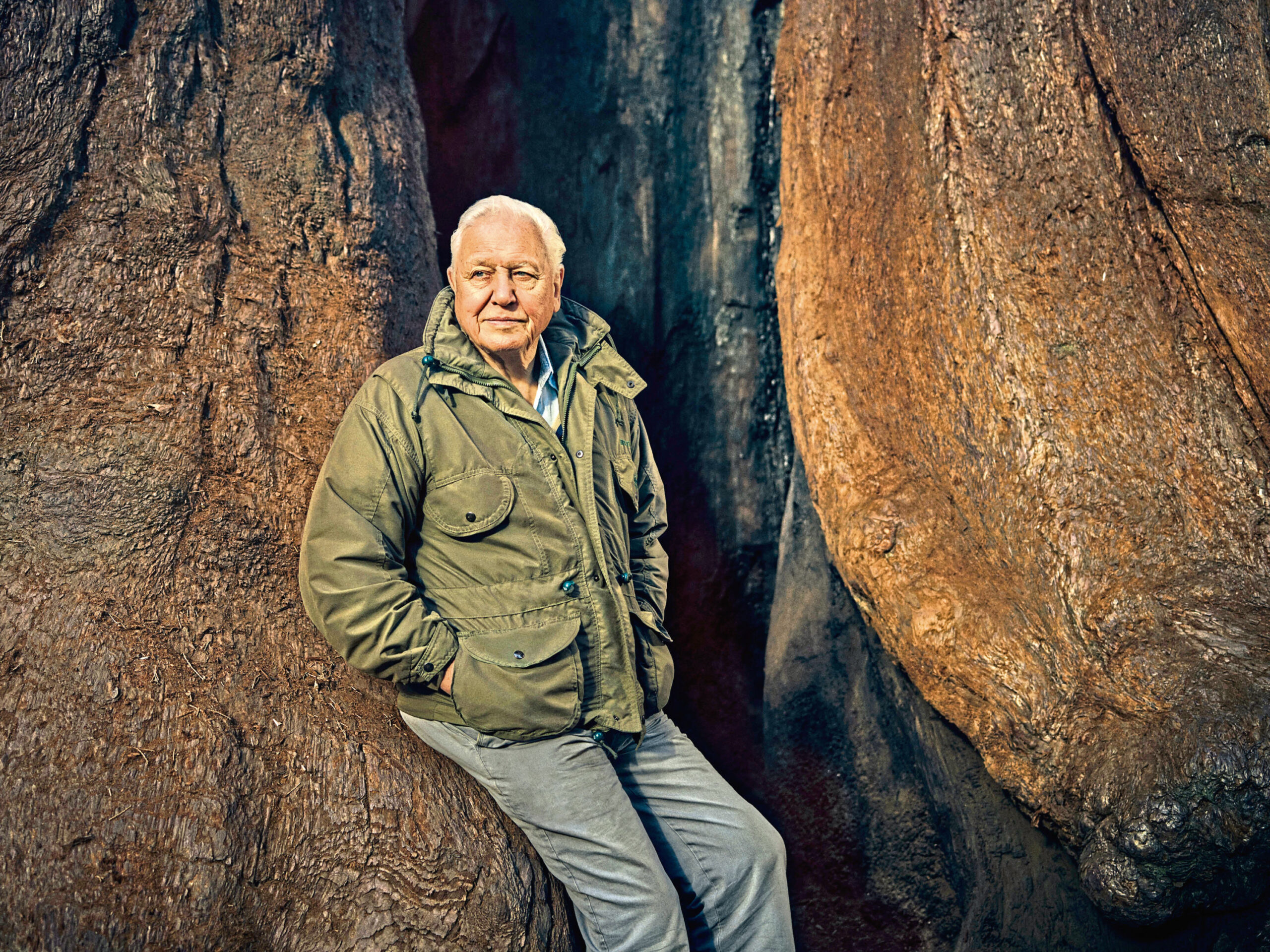 Sir David Attenborough, The Green Planet.