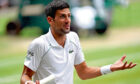 Novak Djokovic during Wimbledon.