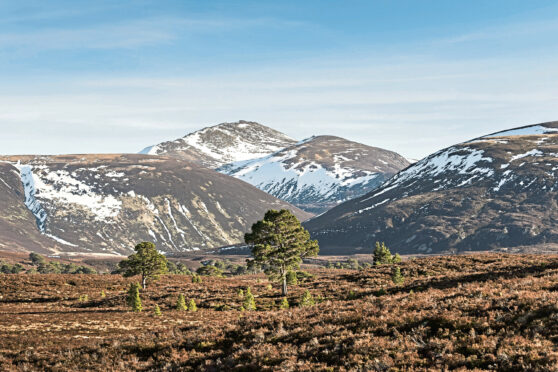 Bynack More and Bynack Ben from the Ryvoan Pass in the Cairngorms; the Ryvoan Bothy, inset.