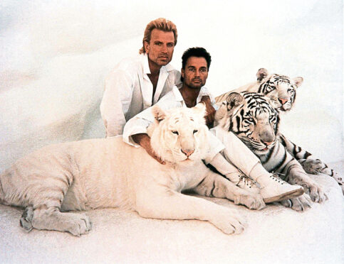 Siegfried and Roy with white tigers.