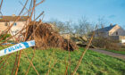 A woman has been killed by a falling tree in Aberdeen during Storm Malik.