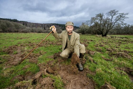 Steven MacKenzie shows the damage done to the soil by boar as they root for food