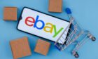 Raw Deal has received several complaints after eBay, the online market place, suspended readers’ accounts