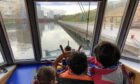 Having fun at the helm of a riverboat