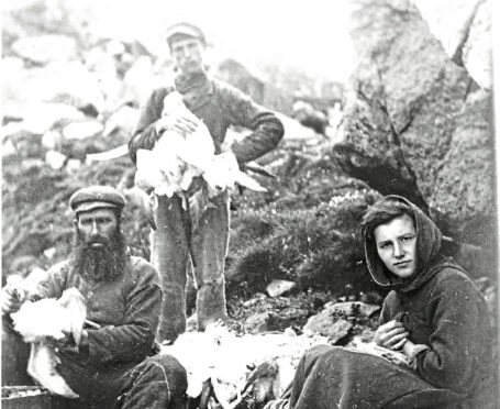 The St Kilda islanders relied on fowling as a source of food and income.