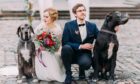 Wedding couples now include their dogs in the ceremony as guests, ring bearers or even best dog
