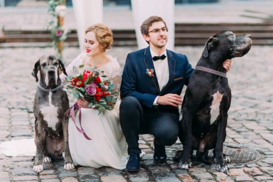 Wedding couples now include their dogs in the ceremony as guests, ring bearers or even best dog