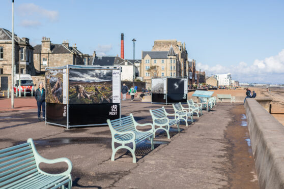 The photography exhibition on Portobello Promenade.