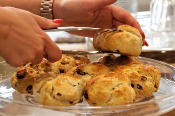 We taste-tested the scone at Cafe Alba