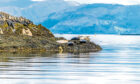 A view of seals basking on an islet in the Firth of Lorn near to Oban, Scotland on a summers day; Shutterstock ID 1997286455; purchase_order: ; job: