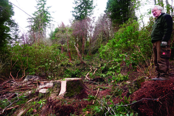 John Mattingley surveys storm damage