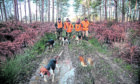 Men hunt wild boar with dogs in the woods of Prissac, France