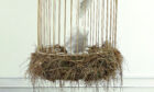 Bird Cage, by Duncan of Jordanstone College graduate Iona Brown at Unmute exhibition