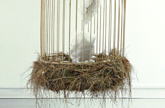 Bird Cage, by Duncan of Jordanstone College graduate Iona Brown at Unmute exhibition