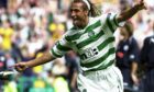 Henrik Larsson strikes a very familiar celebratory pose during his time in the hoops