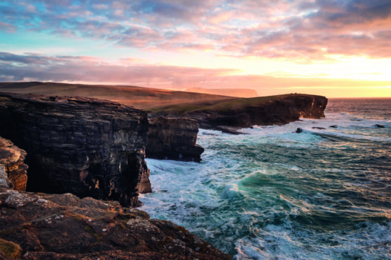 The great outdoors: Orkney casts its magic with moody waters, squadrons of skarf and the disapproval of a snorting seal