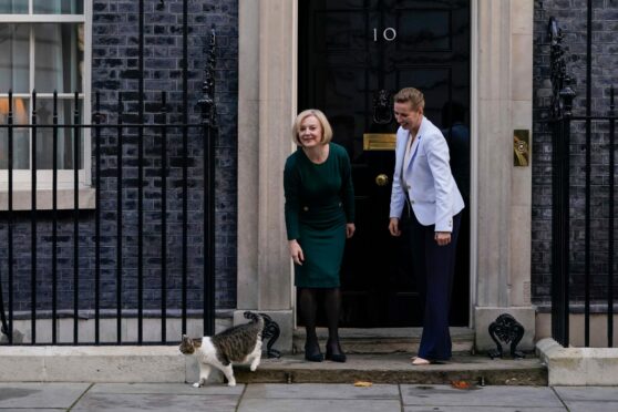 Larry the Downing Street cat does not seem impressed as Liz Truss greets Denmark’s Prime Minister Mette Frederiksen outside 
No 10 yesterday before the PM and her Chancellor, Kwasi Kwarteng, headed to conference.