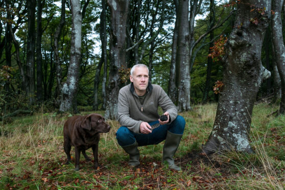 Dr Paul Thomas with truffle hound Whinnie on a hunt for the fungi in the woods on the Isle of Bute