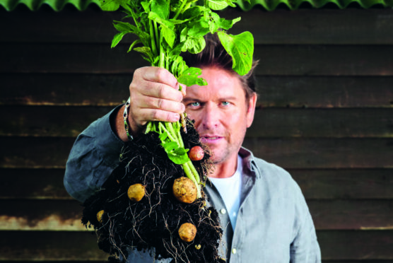 Golden wonders: TV chef James Martin hails the not-so-humble spud and reveals how to make the perfect roast potatoes