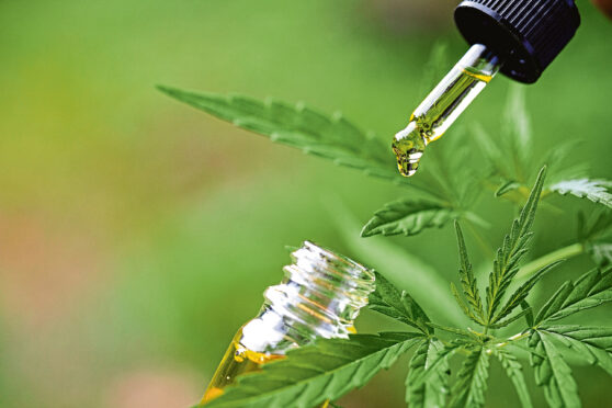 CBD hemp oil, Hand holding bottle of Cannabis oil in pipette ; Shutterstock ID 1478305652; purchase_order: 13.11.22 SPost; job: Health