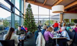 Festive fun and flavours in Dobbies’ restaurant