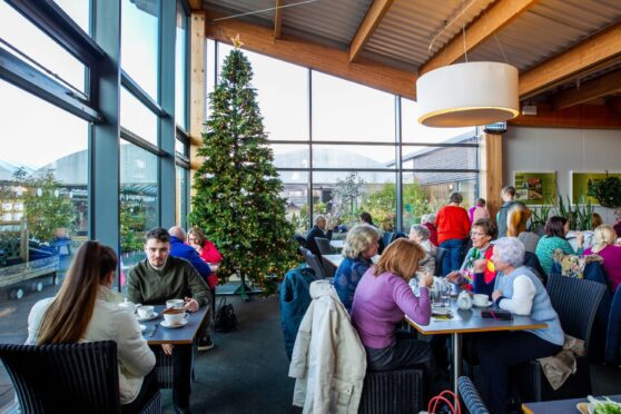 Festive fun and flavours in Dobbies’ restaurant