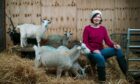 Jillian McEwan with some of her cashmere goats