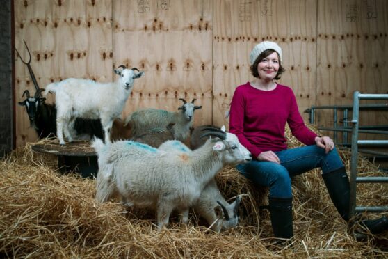 Jillian McEwan with some of her cashmere goats