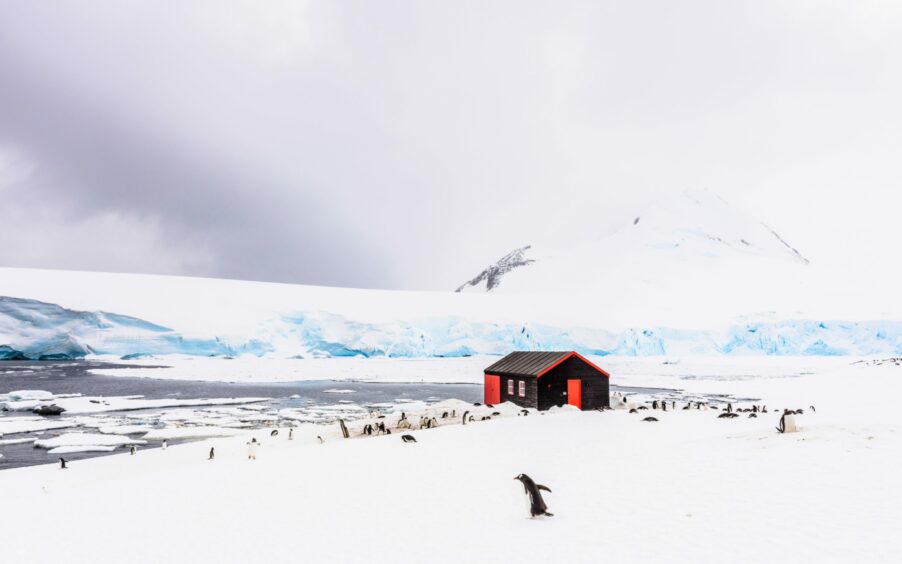 Gentoo penguins and Penguin Post Office on Goudier Island off the coast of Antarctica