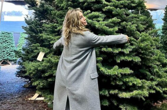 Jennifer Aniston gives her Christmas tree a big hug