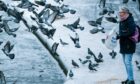 A woman feeds the pigeons beside the pond in Glasgow’s Queen’s Park which has frozen over amid plunging temperatures