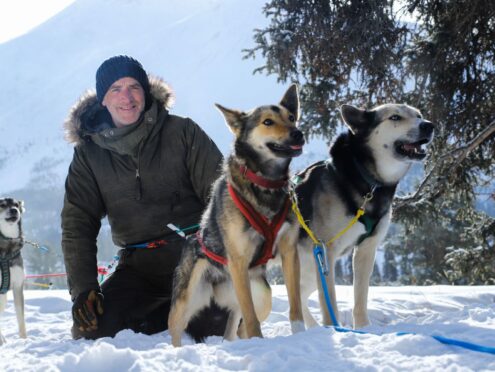 Snow Dogs - Into the Wild.