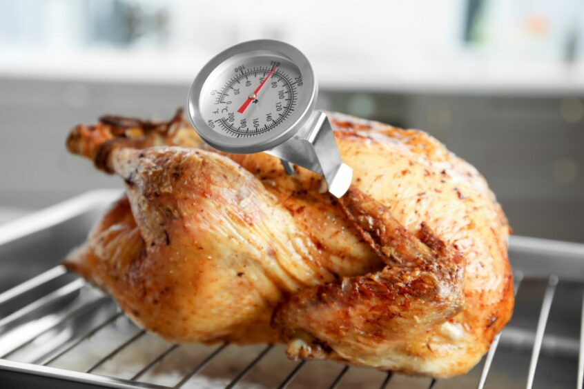 Chicken with thermometer