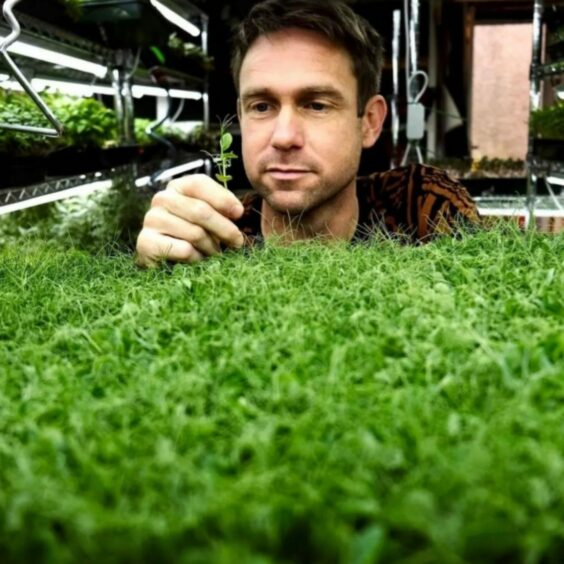 Owner Daniel Oliveira examines his latest batch of seedlings