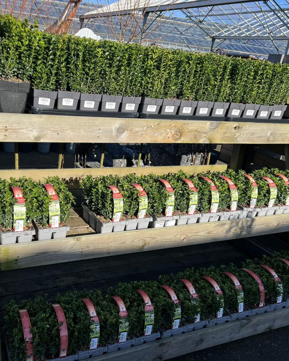 Make your garden one to be proud of 5 spring garden ideas