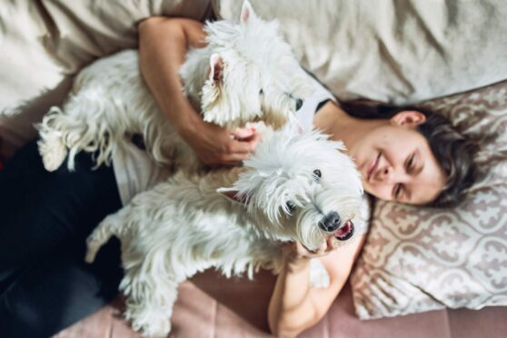 Woman cuddling dog on bed. Article about dog services.