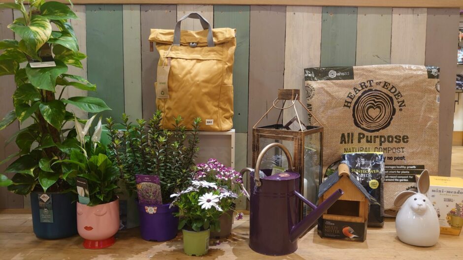 Plants and other garden makeover items on offer at The Greenhouse Scotland