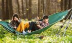 a girl and a boy on a hammock in a forest are swarmed by insects