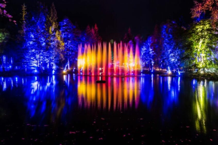 A colourful lightshow across water and trees.