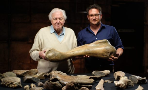 Ben Garrod with Sir David Attenborough in front of bones found as part of documentary Attenborough and the Mammoth Graveyard.