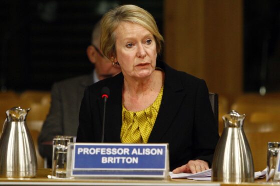 Professor Alison Britton.