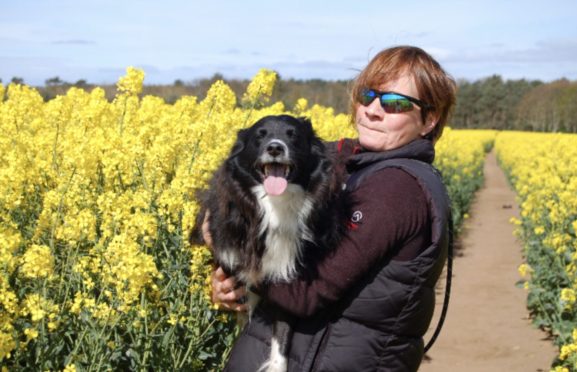 Lisa Wright with her dog, Buddy, who had a pacemaker inserted after suffering heart failure.